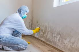 Best Comprehensive Air Testing for Mold Contaminants  in Mount Healthy Heights, OH